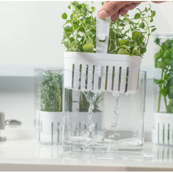 Pote Porta Temperos 1,5L Clear Fresh 10x14,5x15cm - OUOF800